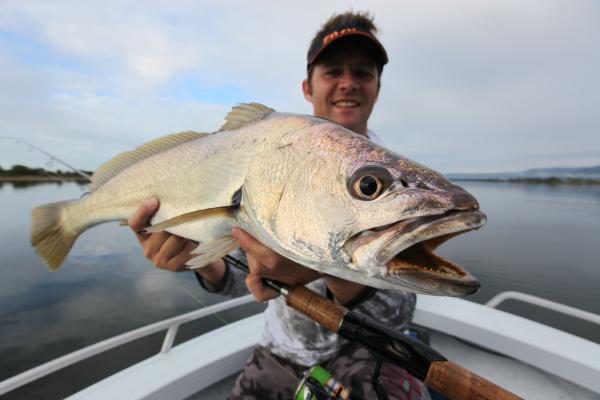 Mulloway magic